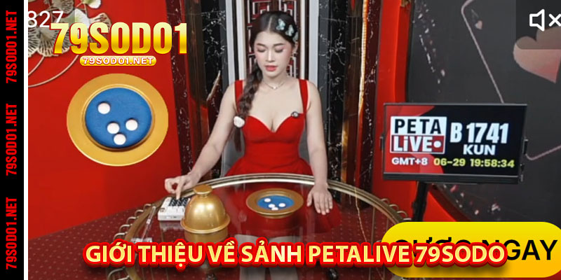 Giới Thiệu Về Sảnh Petalive 79Sodo