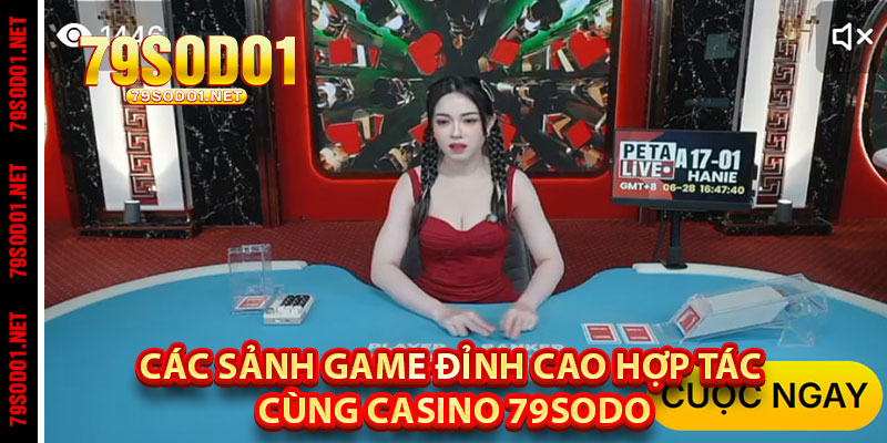 Các Sảnh Game Đỉnh Cao Hợp Tác Cùng Casino 79sodo