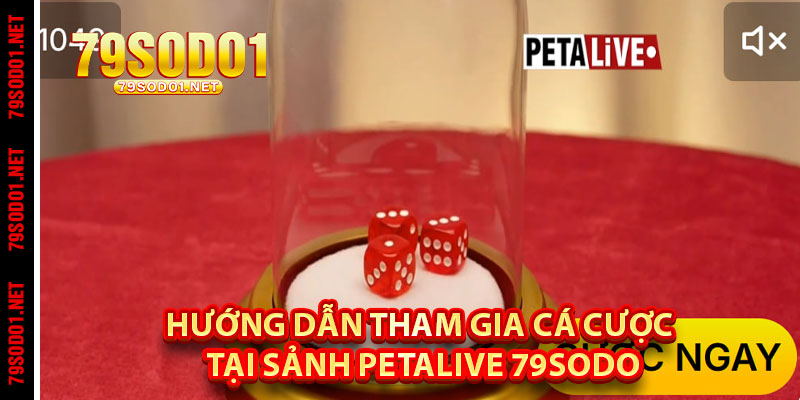 Hướng Dẫn Tham Gia Cá Cược Tại Sảnh Petalive 79Sodo
