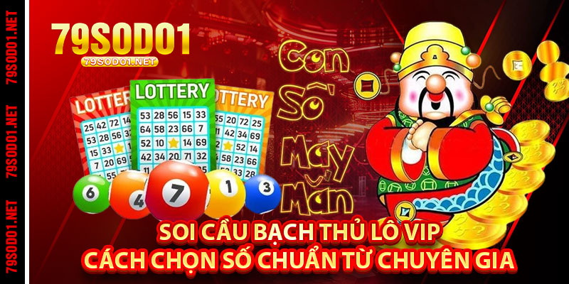 Soi Cầu Bạch Thủ Lô Vip – Cách Chọn Số Chuẩn Từ Chuyên Gia