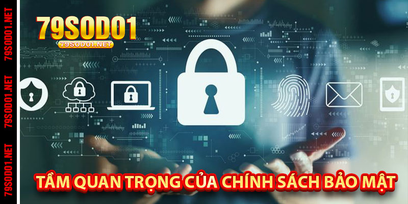 Tầm Quan Trọng Của Chính Sách Bảo Mật Tại 79Sodo