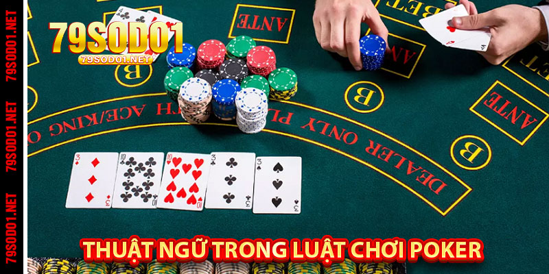 Thuật Ngữ Trong Luật Chơi Poker Người Mới Cần Biết