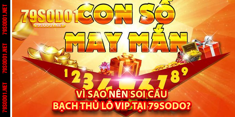 Vì Sao Nên Soi Cầu Bạch Thủ Lô Vip Tại 79Sodo?