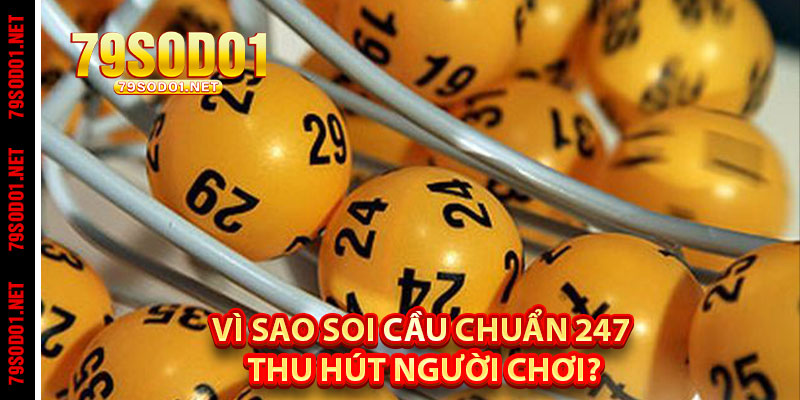 Vì Sao Soi Cầu Chuẩn 247 Thu Hút Người Chơi?