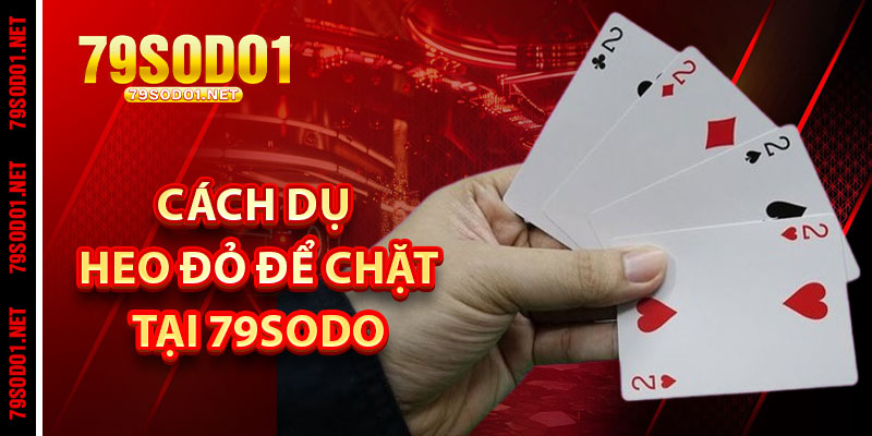 Cách Dụ Heo Đỏ Để Chặt – Bí Quyết Làm Chủ Cuộc Chơi Tiến Lên Tại 79SoDo