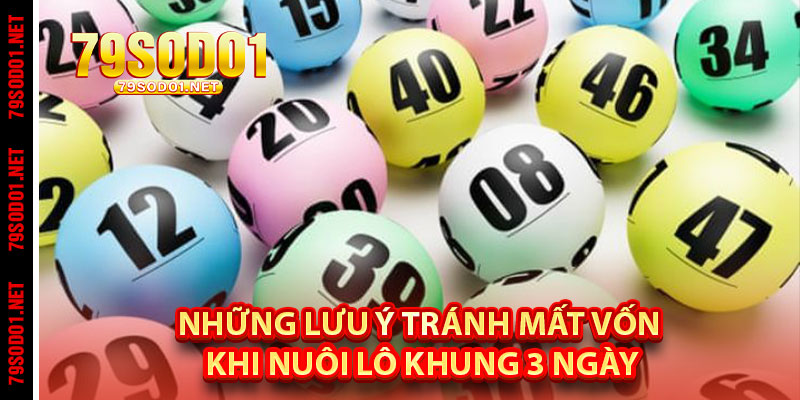 Những Lưu Ý Tránh Mất Vốn Khi Nuôi Lô Khung 3 Ngày
